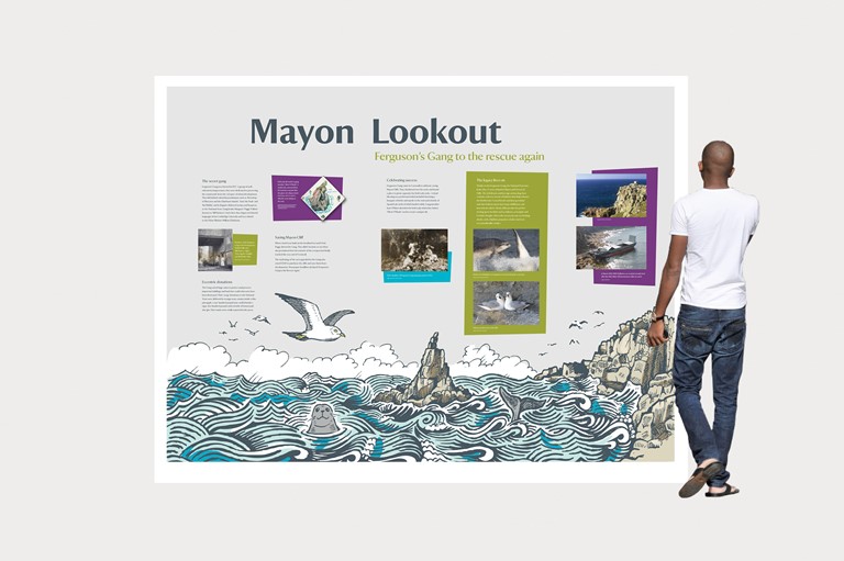 Illustration graphic, seals, seagulls, Design 79 installation at Mayon Lookout in Sennen, Cornwall