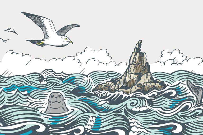 illustration, seal, seagull, cliffs, coast, water, sea, Mayon Lookout, animals, wildlife