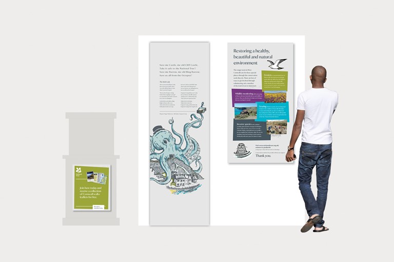 Octopus, illustration, drawing, wall panels, large scale graphics,  design, design79