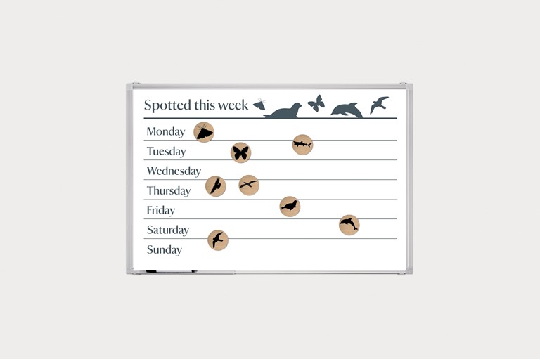 Wood, magnets, illustration, animals, wildlife, spotter, spotting, nature, board,