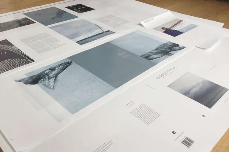 Elementum, design, print, publication, magazine, nature, clean, presentation, proof reading, layout, Design79